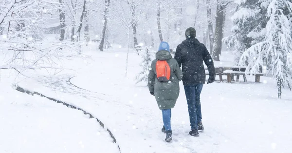 雪の降る冬の公園を歩く愛するカップル — ストック写真