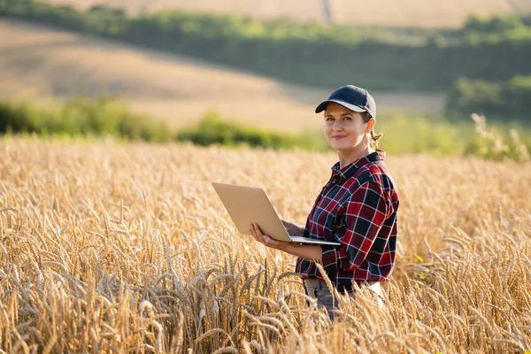 Kvinnlig Bonde Som Jobbar Med Laptop Vetefält Smart Jordbruk Och — Stockfoto