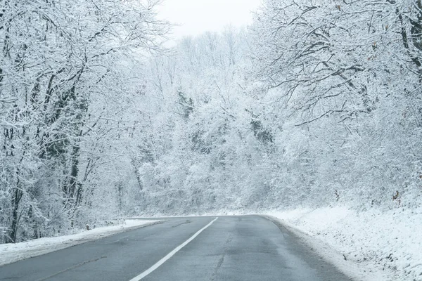 Zimowy Krajobraz Pokrytymi Śniegiem Drzewami Drogą — Zdjęcie stockowe