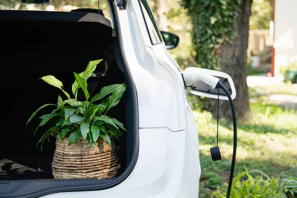 Electric car with flowers in the trunk charges near a country house.