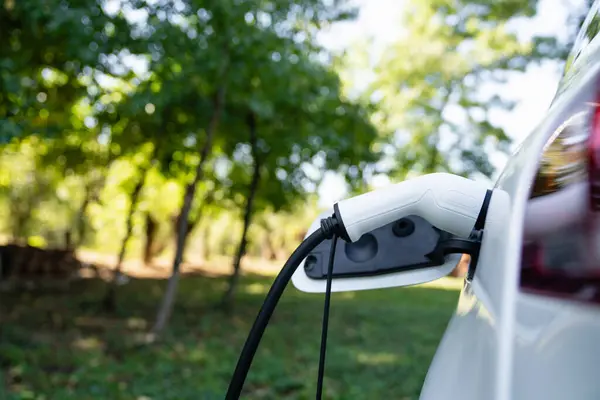 stock image Close up of electric car inlet with a connected charging cable.