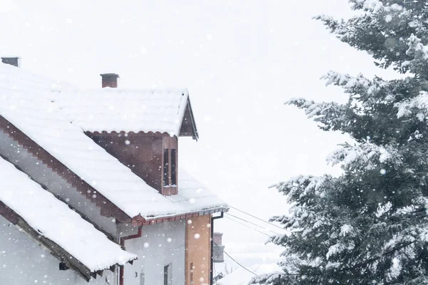 Schneebedeckte Winterbäume Stehen Neben Haus — Stockfoto