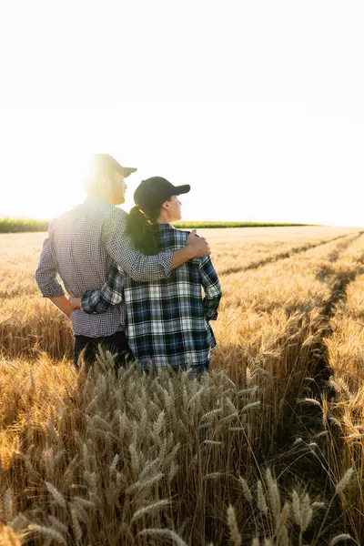 A couple of farmers in plaid shirts and caps stand embracing on agricultural field of wheat at sunset..