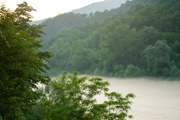 Misty Mountain River Forest Banks — Stock Photo, Image
