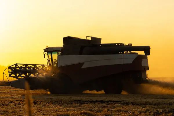 Combine harvester on the field at sunset..