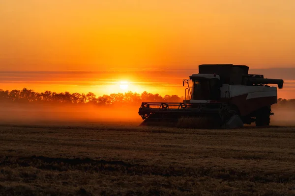 Combine harvester on the field at sunset..