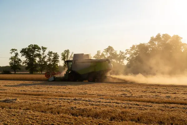 Combine Harvester Harvests Wheat Sunset — Stock Photo, Image