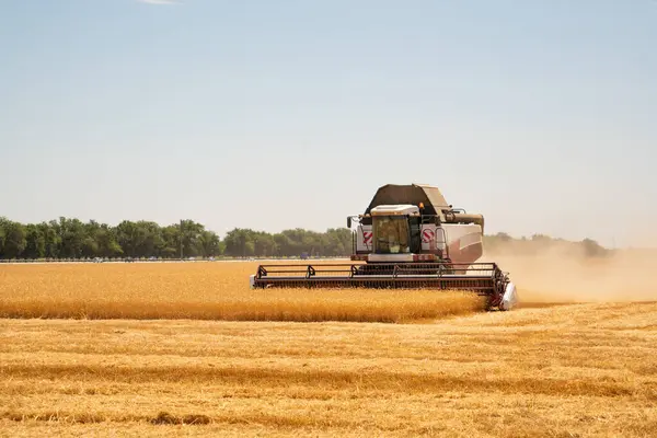 Combine Harvester Wheat Field — Stock Photo, Image