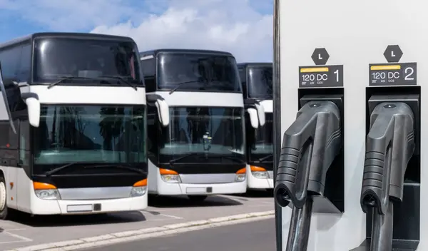 Elektrische Bussen Met Laadstation Rechtenvrije Stockafbeeldingen