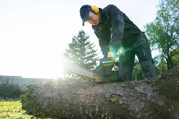 Man Uniform Cuts Old Tree Yard Electric Saw — Stock Photo, Image