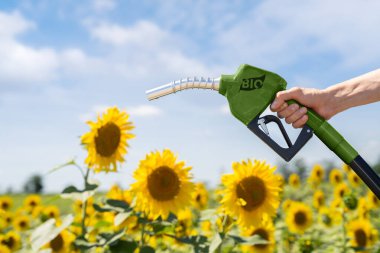 Hand with biofuel refueling nozzle on a background of sunflower field.. clipart