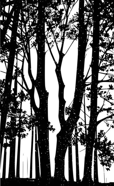 Silhouette Une Forêt Arbres Feuilles Branches Sur Fond Blanc — Image vectorielle