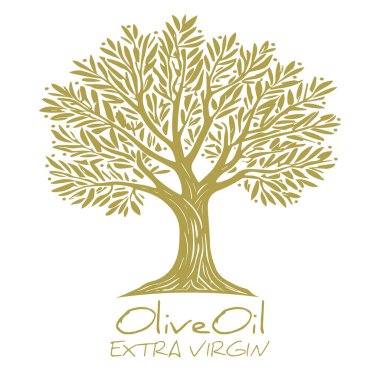 Zeytin ağacı. Sızma zeytinyağı sembolü. Kültür ve Akdeniz yemekleri sembolü