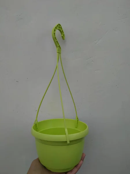 白い背景の鍋に緑の植物があり — ストック写真