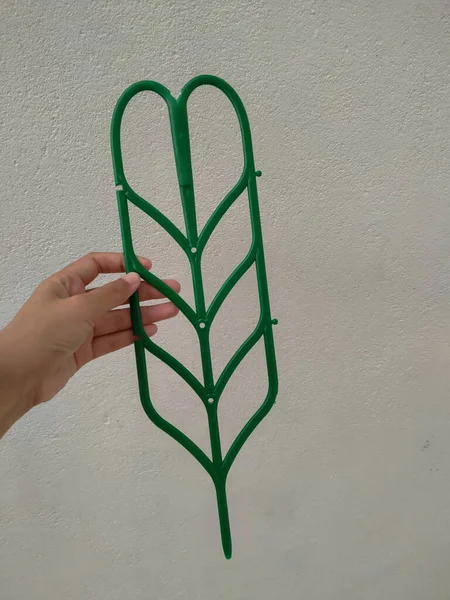 Πράσινο Φυτό Στο Χέρι Γκρι Φόντο — Φωτογραφία Αρχείου