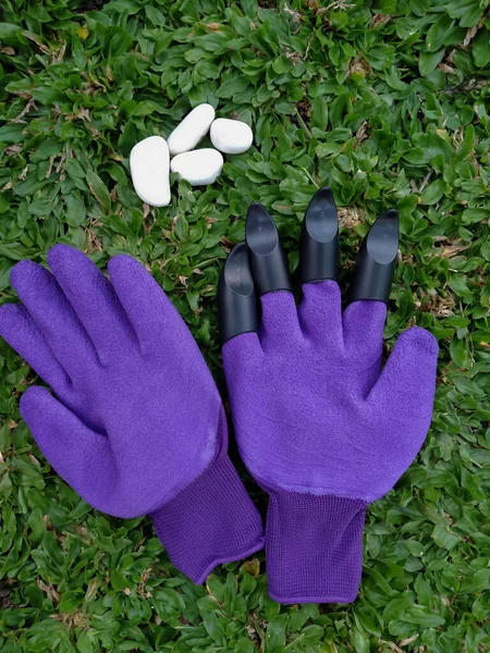 Purple gardening gloves and green leaves. top view