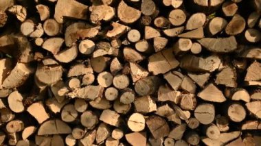 Şömineyi ısıtmak için odun kestim. Yakacak odun yığını. Yakacak odunlara yakın çekim. Bir yığın kütük yakılacak, boyut kesilecek. Ukrayna 'da kışı geçirmek için hazırlık