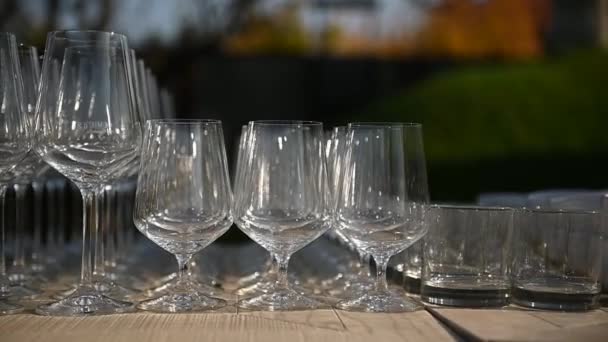 Skott Glas Champagne Uppradade Rader Ett Bord Väntar Bröllopsmottagningen Gäster — Stockvideo