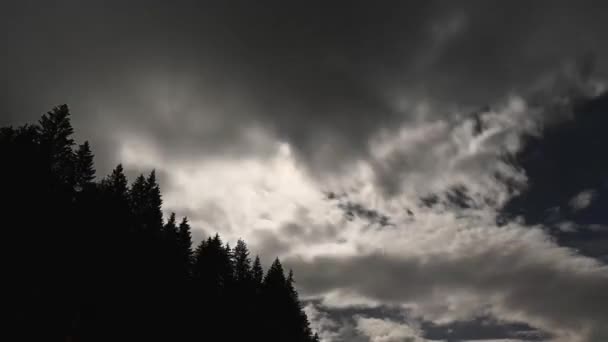 Night Time Lapse Sky Dense Layers Clouds Moon Incredibly Beautiful — Stockvideo