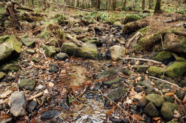 Source of pure mineral water in the mountains. Mountain spring in Ukraine.