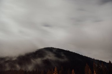 Night photo of the sky with dense layers of clouds and the moon. Incredibly beautiful image with large fir trees in Ukraine, Carpathian mountains