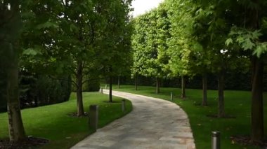 Stone path in the park among trees and bushes.