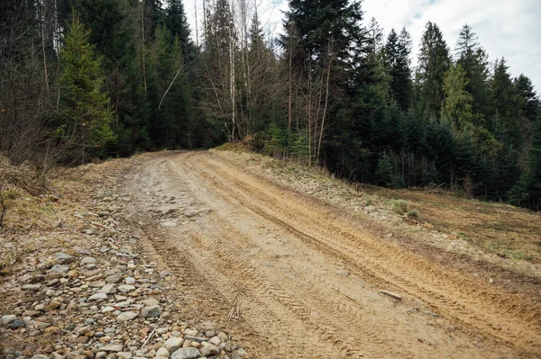 stock image Country road in the mountains among pines and firs.