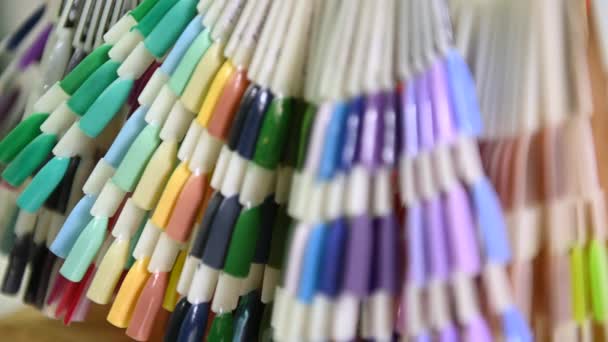 Multicolor Palett Nagellack För Kunden Prover Nagellack Olika Mode Färger — Stockvideo
