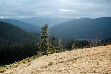 Karpatlar. Ukrayna. Dağ manzarası. Kış Karpatları 2023 Kar olmadan.