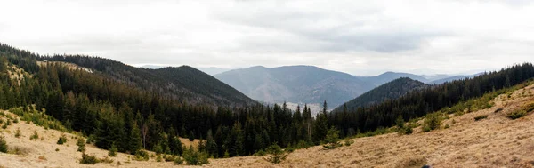 Karpaty Ukraina Górski Krajobraz Karpaty Zimowe 2023 Bez Śniegu — Zdjęcie stockowe
