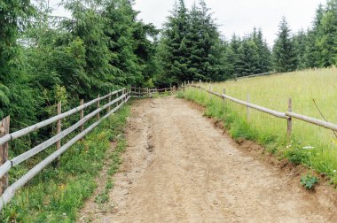 Yürüyen insanlar ve off-road arabaları için dağlardaki eski kayalık toprak yol.