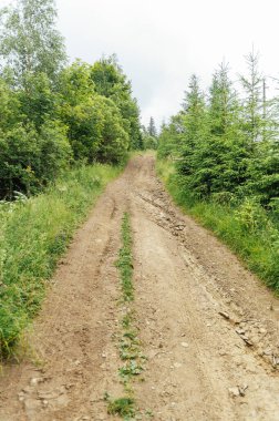 Yürüyen insanlar ve off-road arabaları için dağlardaki eski kayalık toprak yol.
