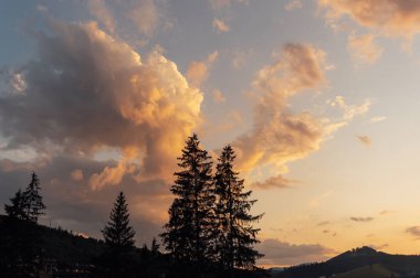 Gün batımında güzel doğa manzarası, Avrupa 'da gün doğumu, Ukrayna dağları ve yamaçları, geniş arazi.