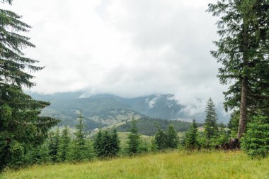 Yeşil Ukrayna dağları. Yaz zamanı. En büyük zirvelerin güzel manzarası. Seyahat geçmişi. Güzellik dünyasını keşfediyorum. Karpat Dağları. Ukrayna. Avrupa.