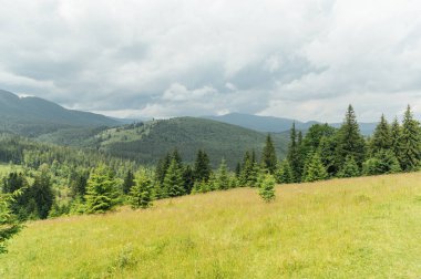 Fırtınanın önündeki yeşil Ukrayna dağları. Yaz zamanı. En büyük zirvelerin güzel manzarası. Seyahat geçmişi. Güzellik dünyasını keşfediyorum. Karpat Dağları. Ukrayna. Avrupa.