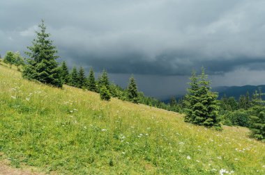 Fırtınanın önündeki yeşil Ukrayna dağları. Yaz zamanı. En büyük zirvelerin güzel manzarası. Seyahat geçmişi. Güzellik dünyasını keşfediyorum. Karpat Dağları. Ukrayna. Avrupa.