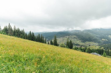 Yeşil Ukrayna dağları. Yaz zamanı. En büyük zirvelerin güzel manzarası. Seyahat geçmişi. Güzellik dünyasını keşfediyorum. Karpat Dağları. Ukrayna. Avrupa.