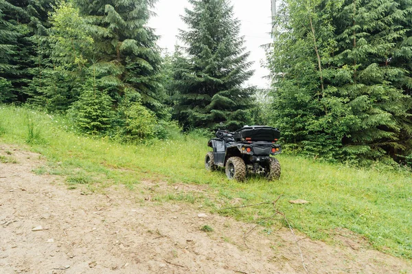 Photo Lost Atv Coniferous Forest Mountains — Stock Photo, Image