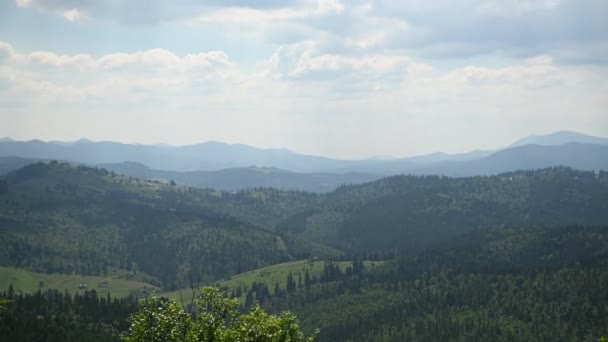 Зеленые Украинские Горы Летнее Время Вид Самые Крупные Персики Путешествия — стоковое видео