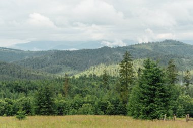 Yeşil Ukrayna dağları. Yaz zamanı. En büyük zirvelerin güzel manzarası. Seyahat geçmişi. Güzellik dünyasını keşfediyorum. Karpat Dağları. Ukrayna. Avrupa.