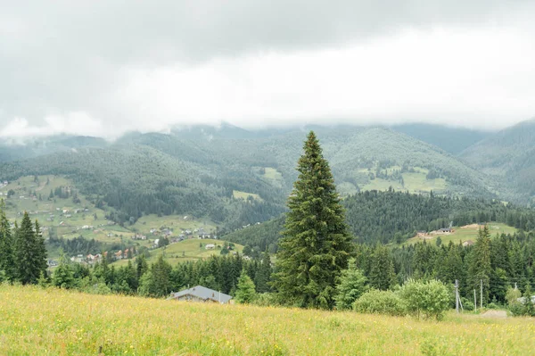 Yeşil Ukrayna dağları. Yaz zamanı. En büyük zirvelerin güzel manzarası. Seyahat geçmişi. Güzellik dünyasını keşfediyorum. Karpat Dağları. Ukrayna. Avrupa.