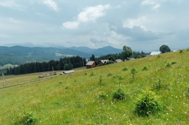 Yeşil Ukrayna dağları. Yaz zamanı. En büyük zirvelerin güzel manzarası. Seyahat geçmişi. Güzellik dünyasını keşfediyorum. Karpat Dağları. Ukrayna. Avrupa.