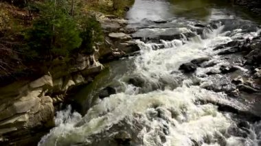 Probiy şelalesindeki Ukrayna Karpatları 'nın fırtınalı su akıntısı. Kristal saf su dağ geçidinde akıyor. Görüntüler, mırıldayan suyun orijinal sesini içeriyor..