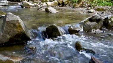 Vahşi dağ nehri taş kayaların arasından akıyor. Karpatlar 'da bol miktarda temiz dere var. Nehrin kenarına soğuk su sıçrıyor. Ulusal parktaki kayalardan küçük bir taşma. Su arkaplanı kavramı