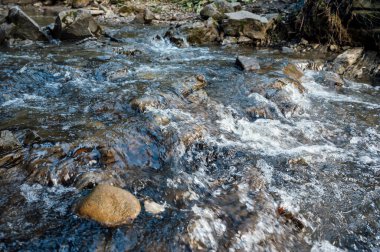 Vahşi dağ nehri taş kayaların arasından akıyor. Karpatlar 'da bol miktarda temiz dere var. Nehrin kenarına soğuk su sıçrıyor. Ulusal parktaki kayalardan küçük bir taşma. Su arkaplanı kavramı