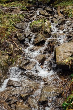 Vahşi dağ nehri taş kayaların arasından akıyor. Karpatlar 'da bol miktarda temiz dere var. Nehrin kenarına soğuk su sıçrıyor. Ulusal parktaki kayalardan küçük bir taşma. Su arkaplanı kavramı