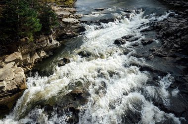 Vahşi dağ nehri taş kayaların arasından akıyor. Karpatlar 'da bol miktarda temiz dere var. Nehrin kenarına soğuk su sıçrıyor. Ulusal parktaki kayalardan küçük bir taşma. Su arkaplanı kavramı