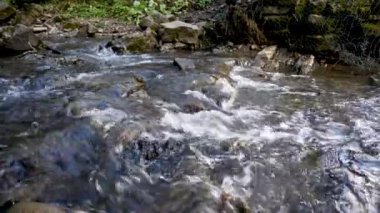 Vahşi dağ nehri taş kayaların arasından akıyor. Karpatlar 'da bol miktarda temiz dere var. Nehrin kenarına soğuk su sıçrıyor. Ulusal parktaki kayalardan küçük bir taşma. Su arkaplanı kavramı
