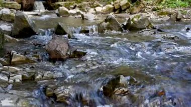 Vahşi dağ nehri taş kayaların arasından akıyor. Karpatlar 'da bol miktarda temiz dere var. Nehrin kenarına soğuk su sıçrıyor. Ulusal parktaki kayalardan küçük bir taşma. Su arkaplanı kavramı