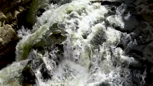Bouřlivý Proud Vody Ukrajinských Karpat Vodopádu Probiy Čistá Křišťálová Voda — Stock video